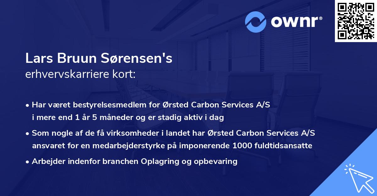 Lars Bruun Sørensen's erhvervskarriere kort