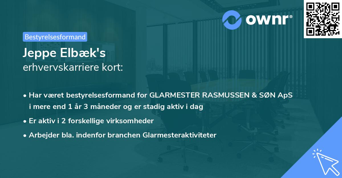 Jeppe Elbæk's erhvervskarriere kort