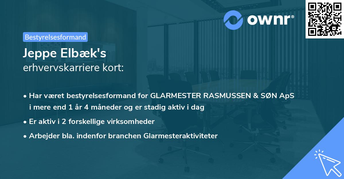 Jeppe Elbæk's erhvervskarriere kort
