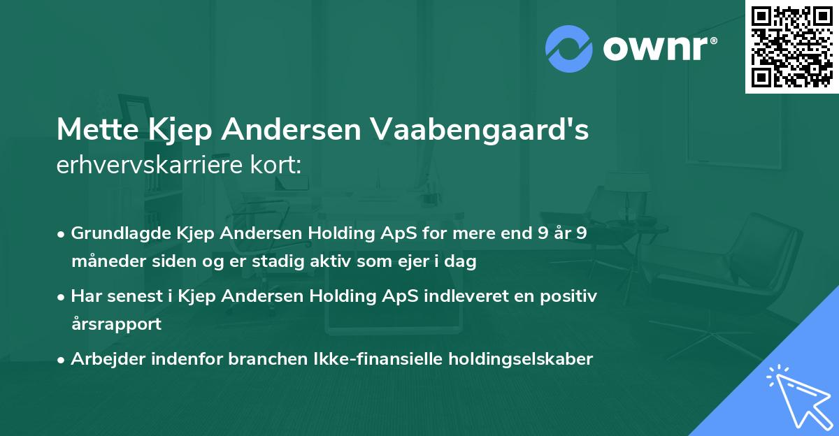 Mette Kjep Andersen Vaabengaard's erhvervskarriere kort