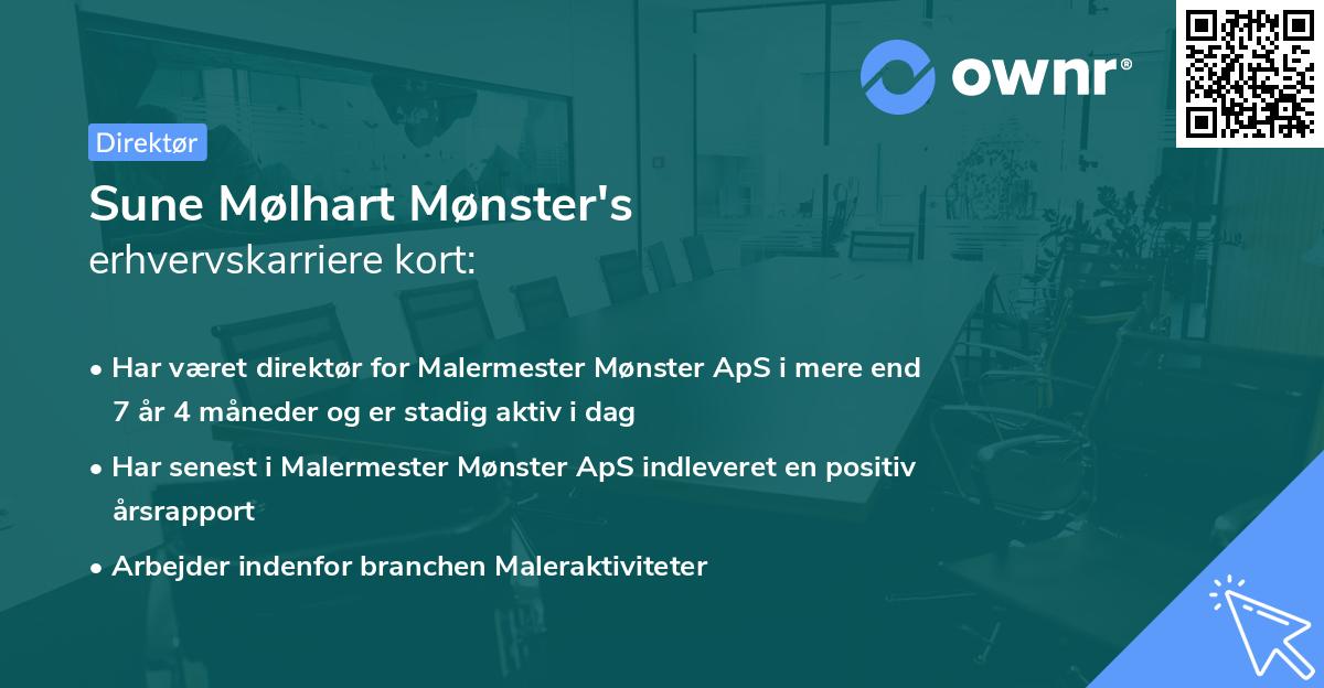 Sune Mølhart Mønster's erhvervskarriere kort