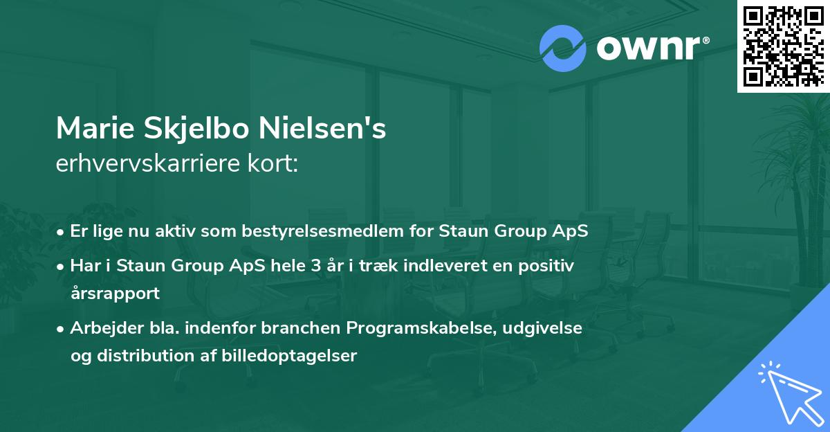 Marie Skjelbo Nielsen's erhvervskarriere kort
