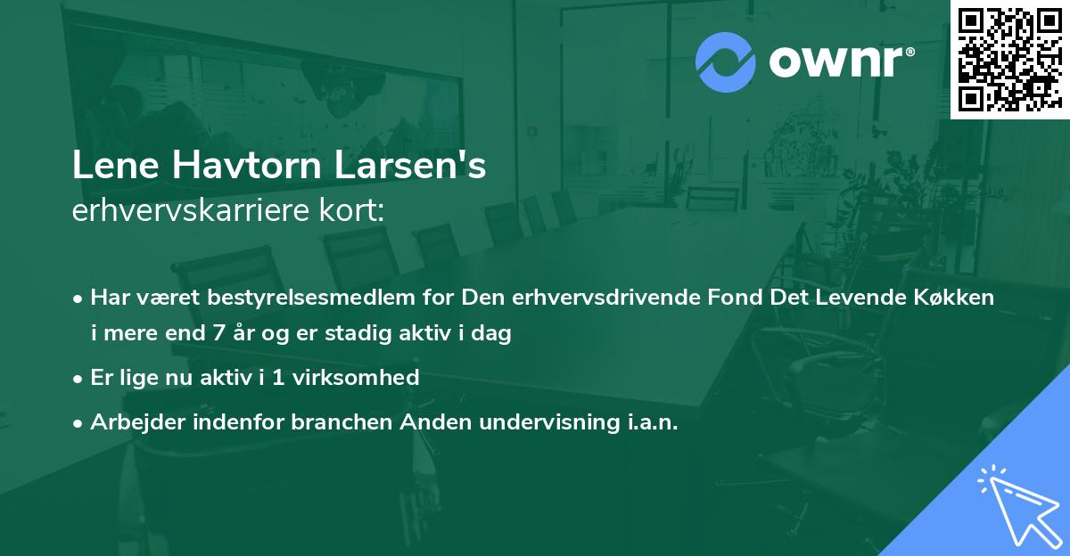 Lene Havtorn Larsen's erhvervskarriere kort