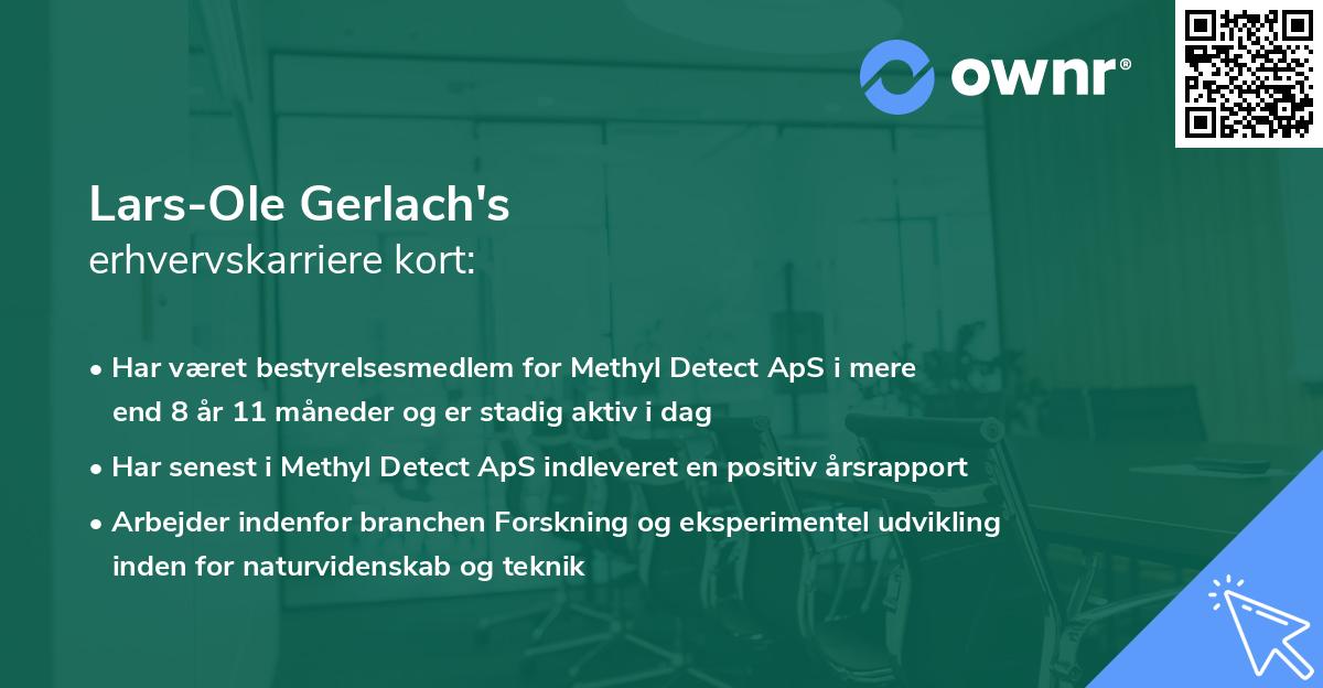 Lars-Ole Gerlach's erhvervskarriere kort