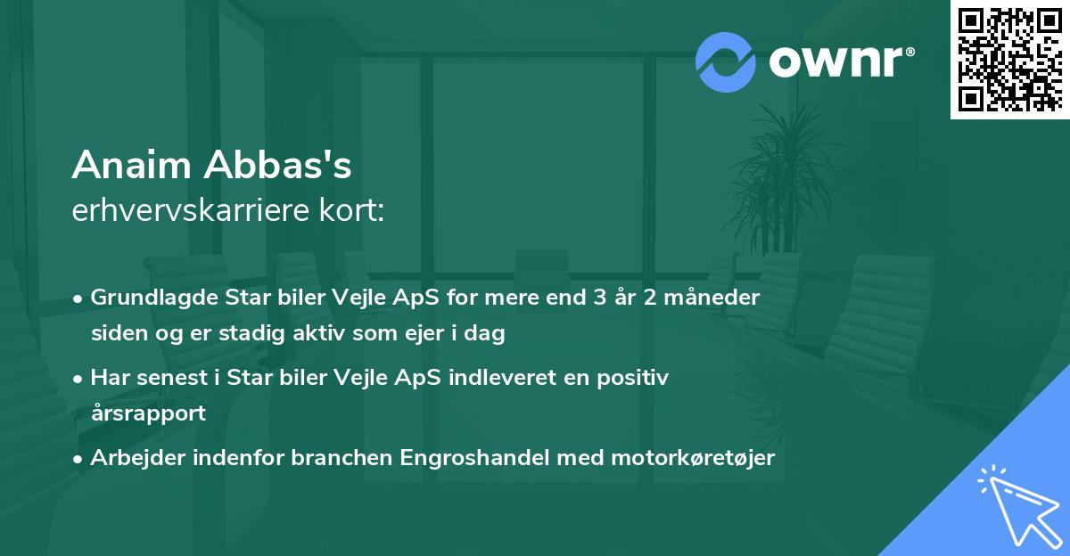 Anaim Abbas's erhvervskarriere kort