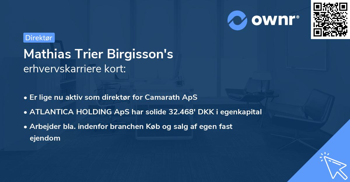 Mathias Trier Birgisson's erhvervskarriere kort