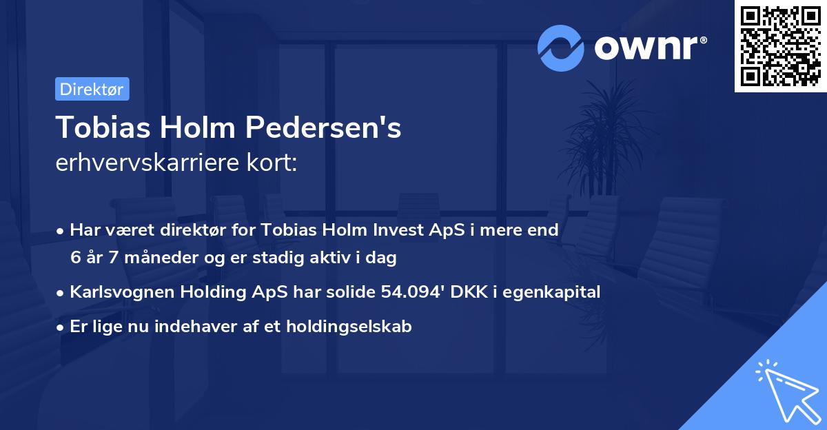 Tobias Holm Pedersen's erhvervskarriere kort
