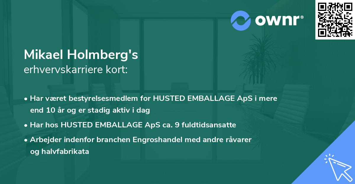 Mikael Holmberg's erhvervskarriere kort