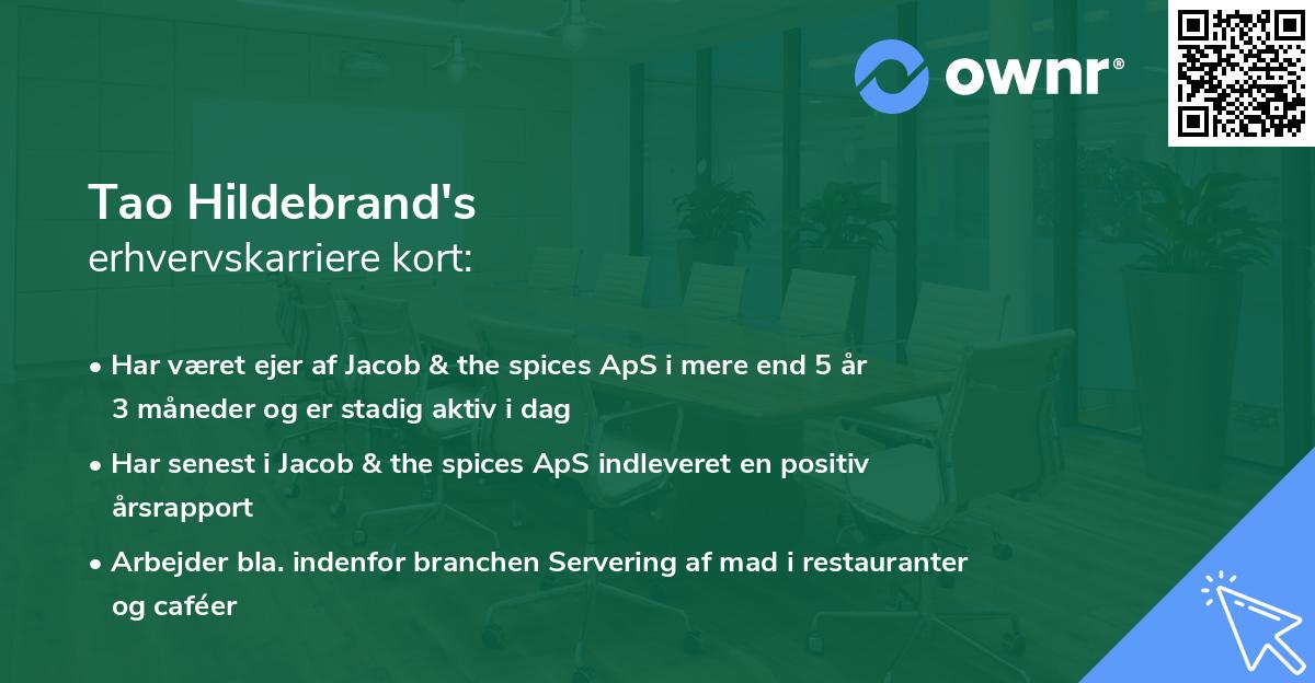 Tao Hildebrand's erhvervskarriere kort