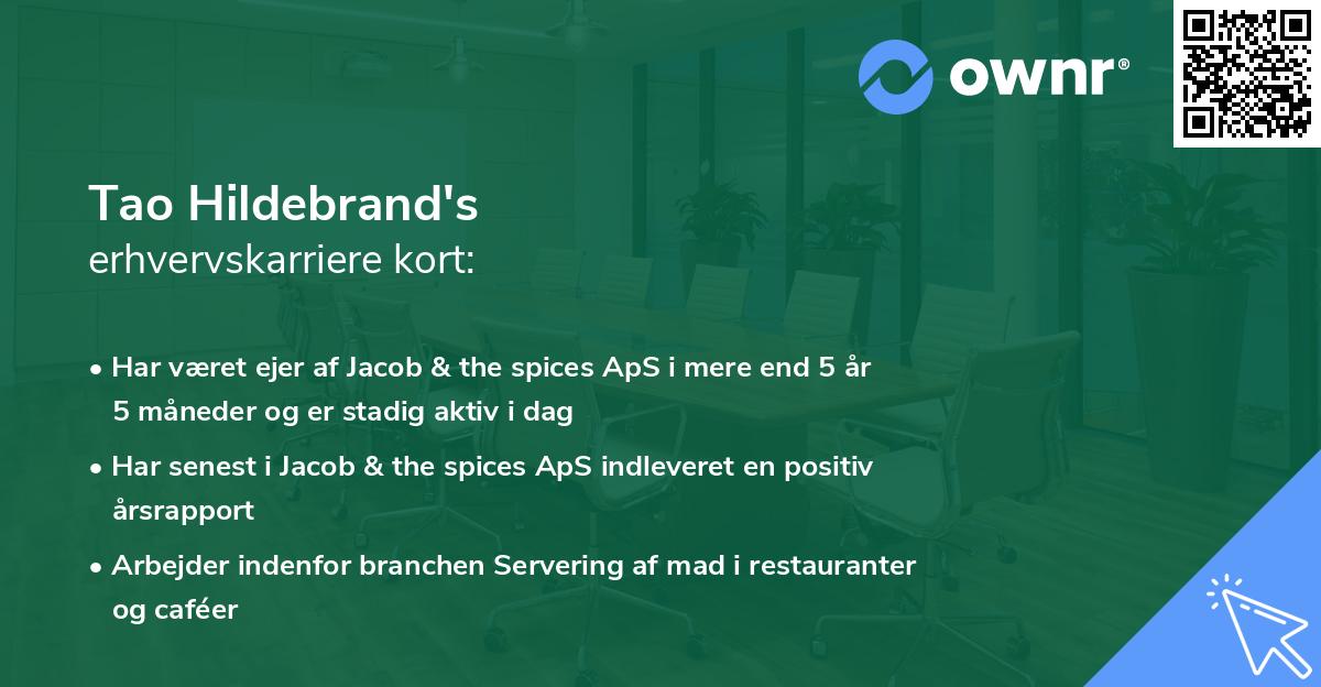 Tao Hildebrand's erhvervskarriere kort