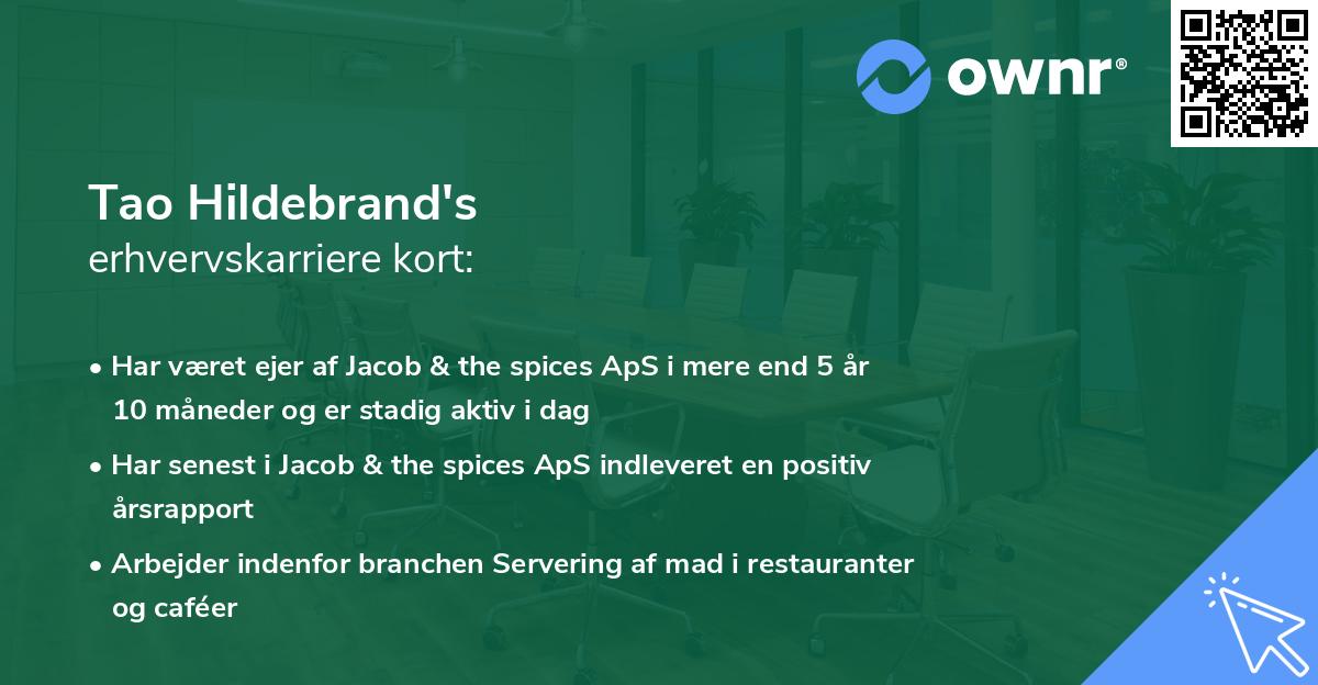 Tao Hildebrand's erhvervskarriere kort