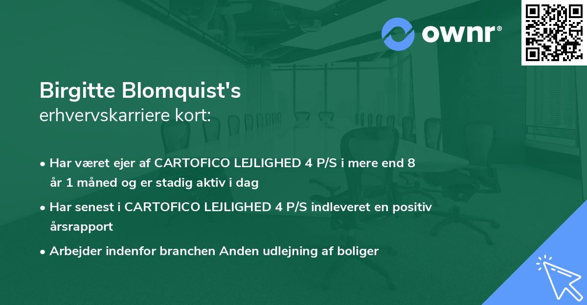 Birgitte Blomquist's erhvervskarriere kort