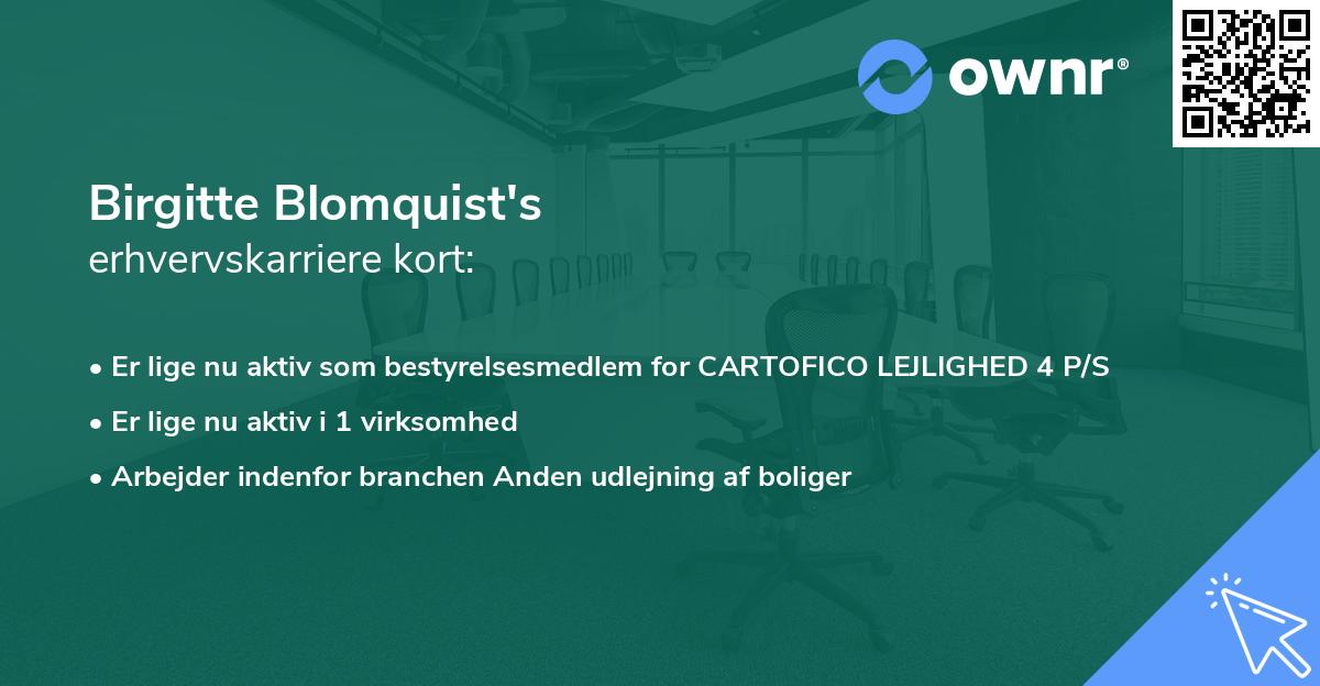 Birgitte Blomquist's erhvervskarriere kort