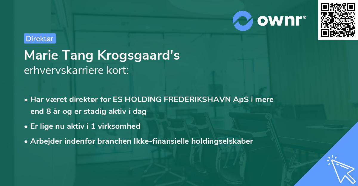 Marie Tang Krogsgaard's erhvervskarriere kort