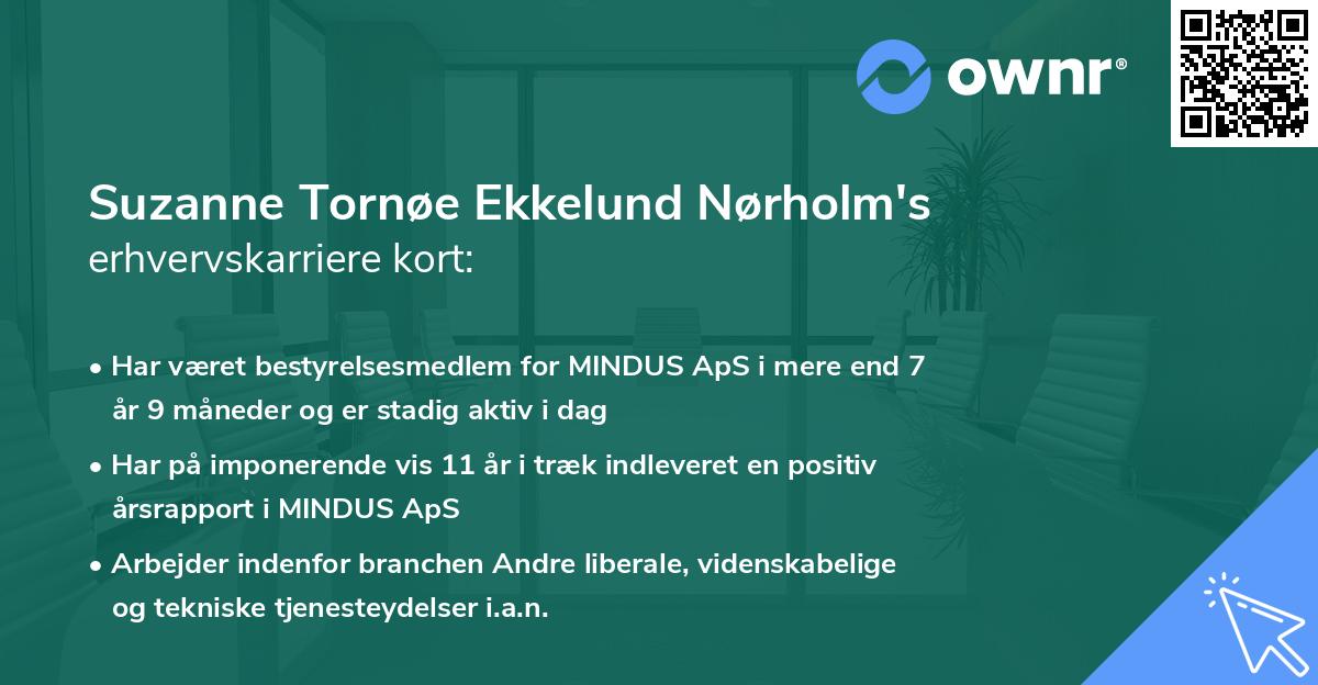 Suzanne Tornøe Ekkelund Nørholm's erhvervskarriere kort