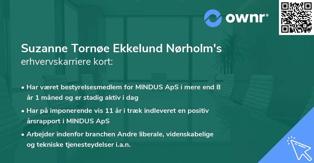 Suzanne Tornøe Ekkelund Nørholm's erhvervskarriere kort