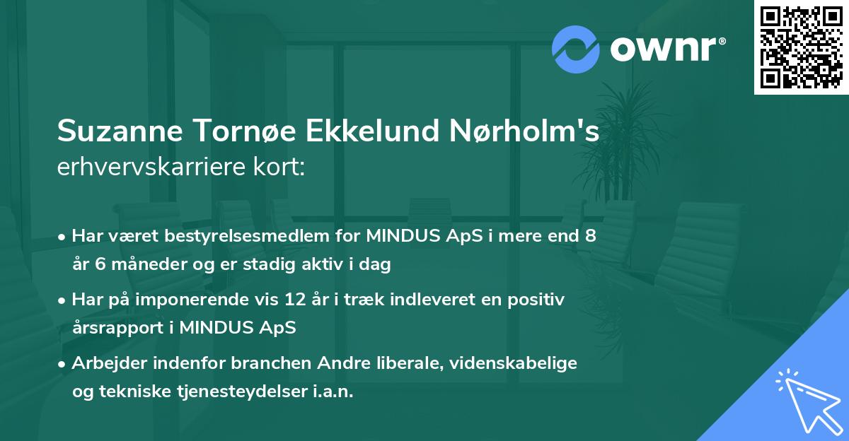 Suzanne Tornøe Ekkelund Nørholm's erhvervskarriere kort