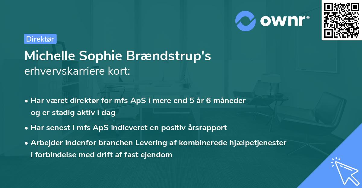 Michelle Sophie Brændstrup's erhvervskarriere kort