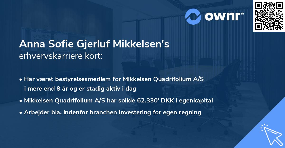 Anna Sofie Gjerluf Mikkelsen's erhvervskarriere kort