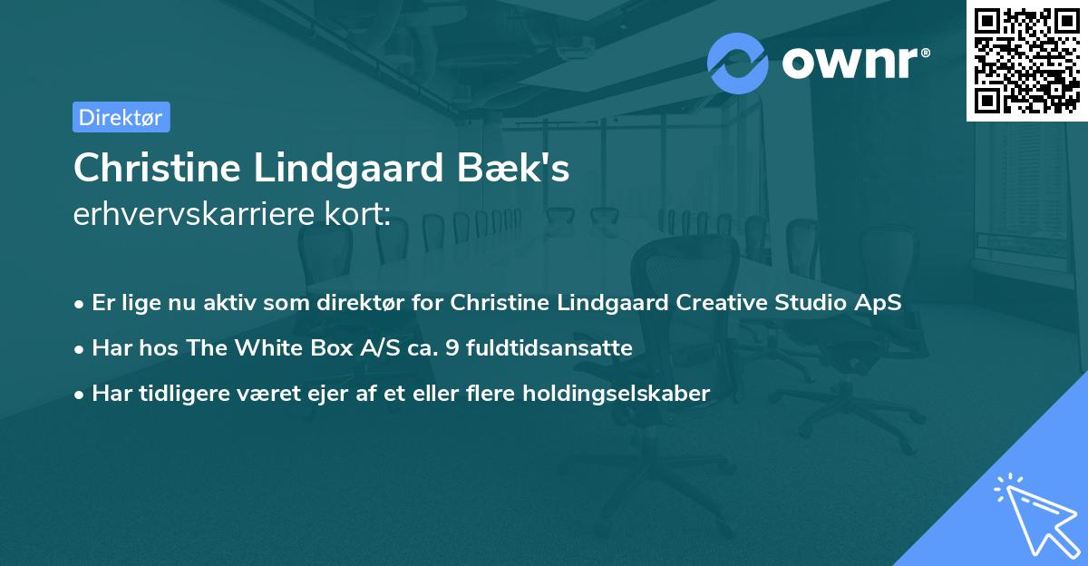 Christine Lindgaard Bæk's erhvervskarriere kort