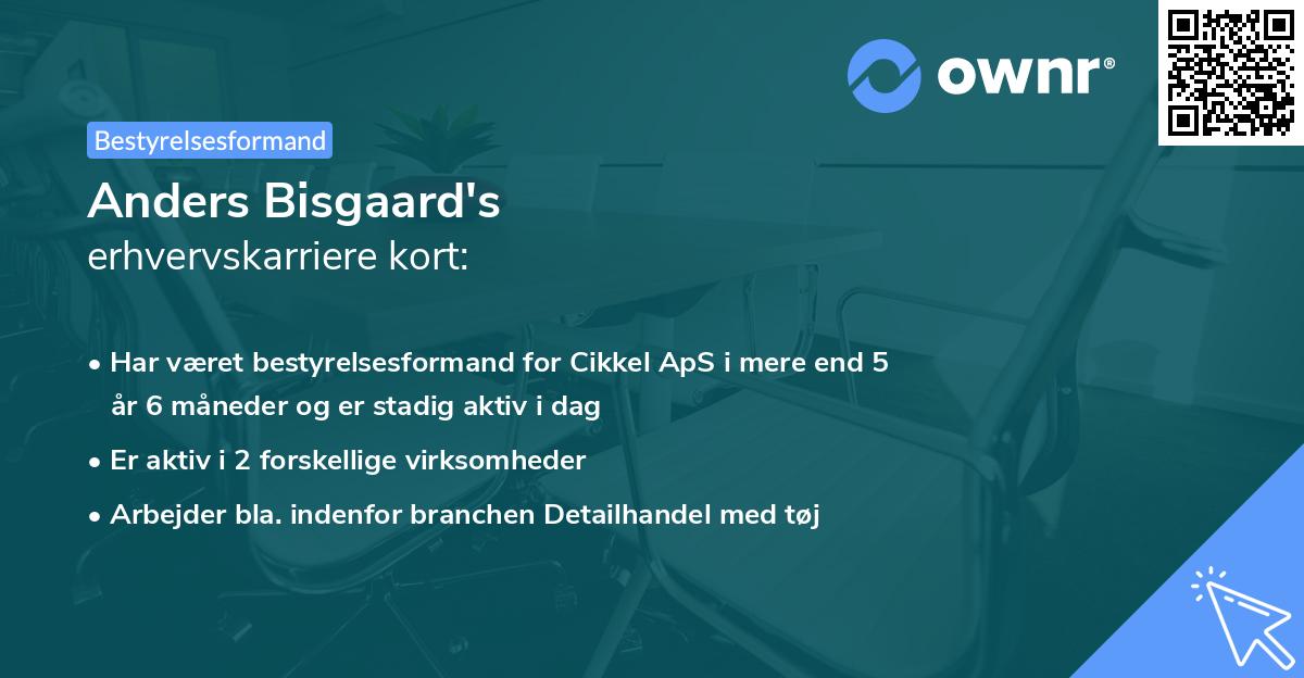 Anders Bisgaard's erhvervskarriere kort