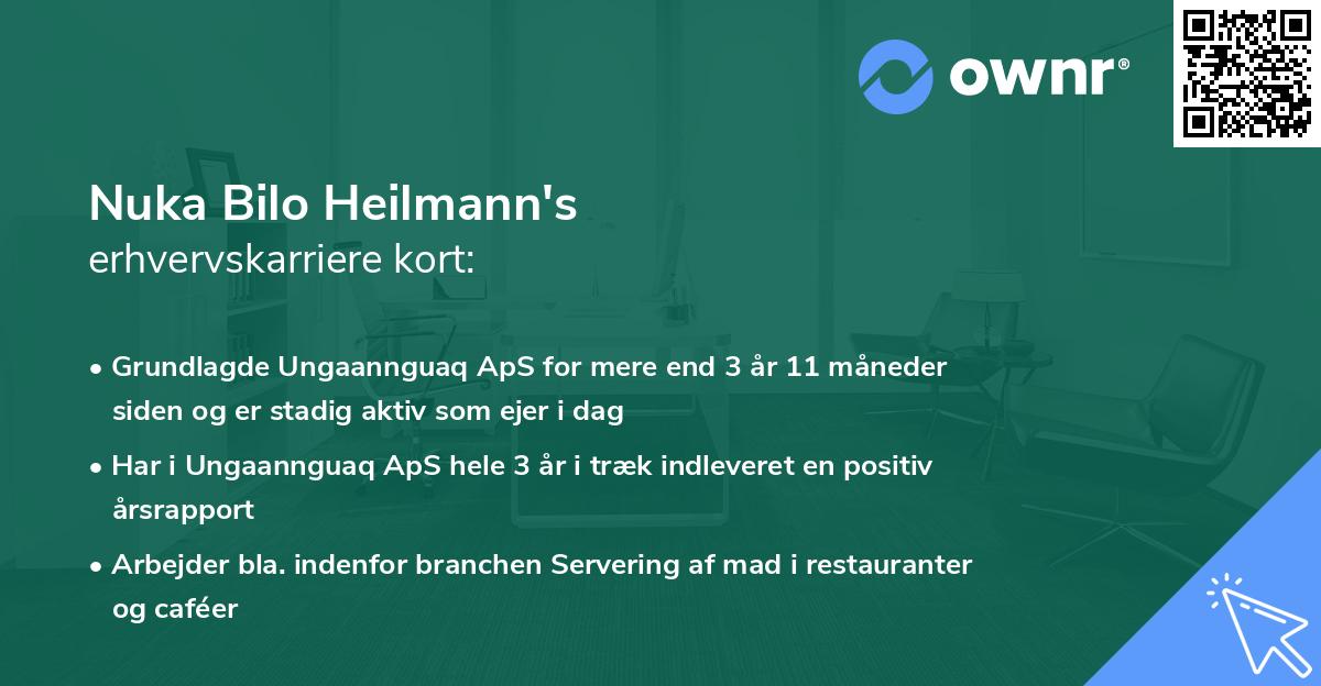 Nuka Bilo Heilmann's erhvervskarriere kort