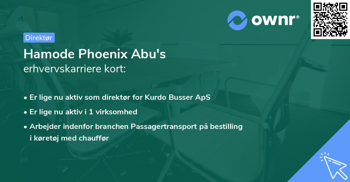 Hamode Phoenix Abu's erhvervskarriere kort