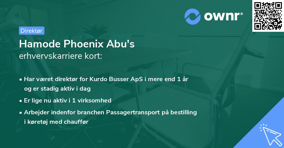Hamode Phoenix Abu's erhvervskarriere kort