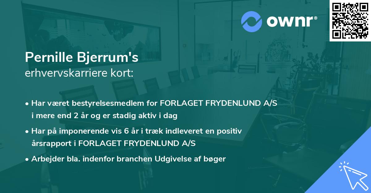 Pernille Bjerrum's erhvervskarriere kort