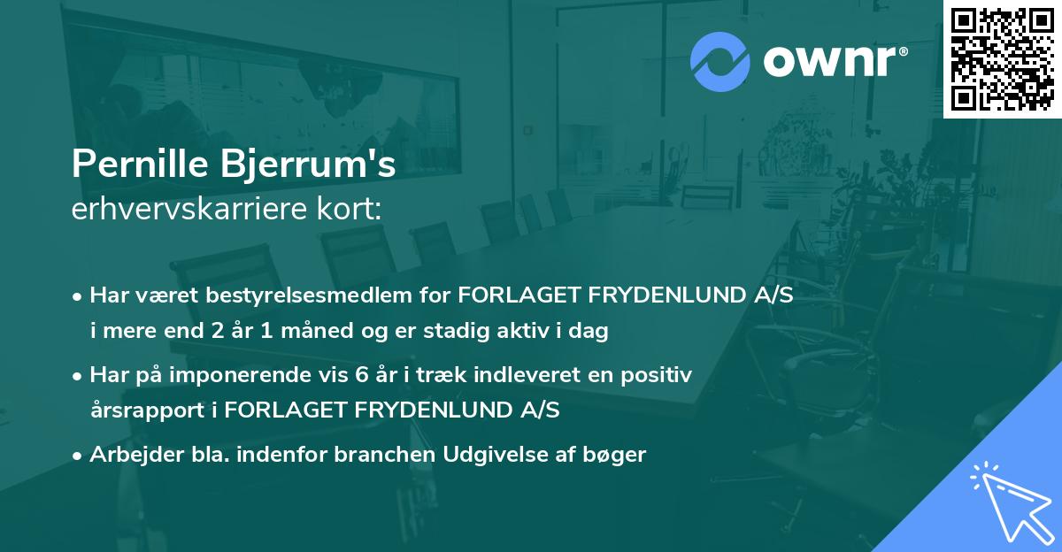 Pernille Bjerrum's erhvervskarriere kort