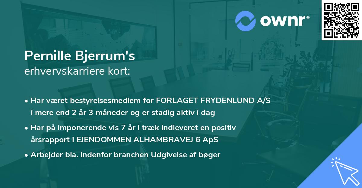 Pernille Bjerrum's erhvervskarriere kort