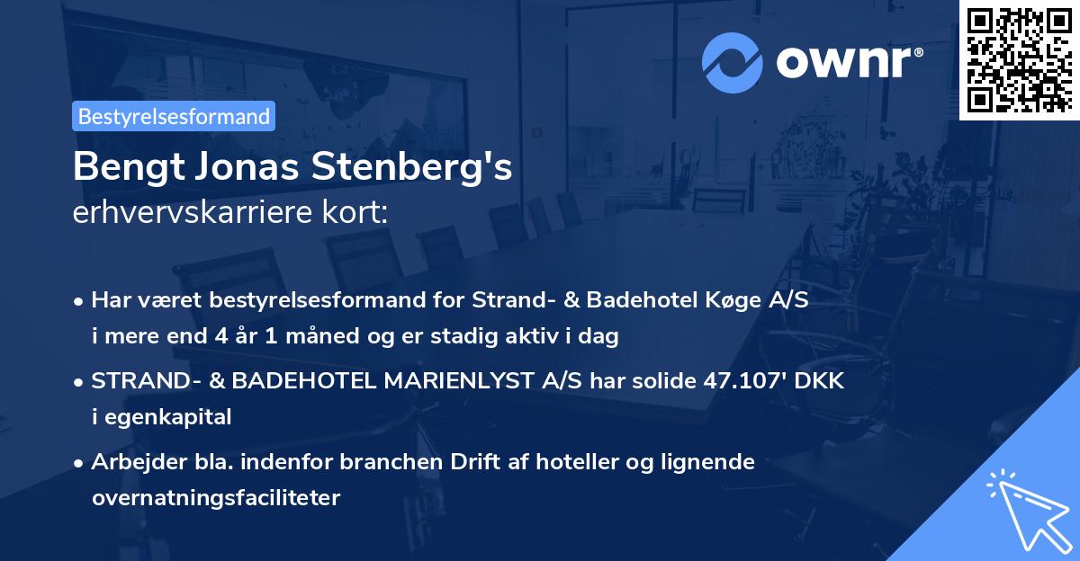 Bengt Jonas Stenberg's erhvervskarriere kort