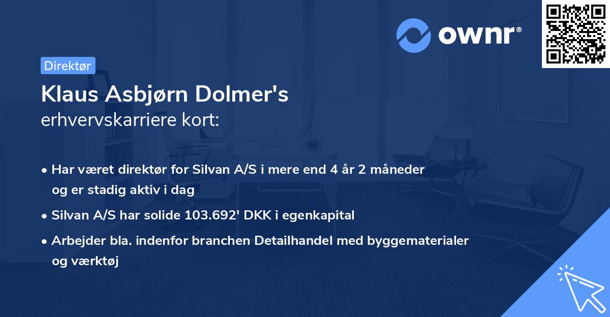 Klaus Asbjørn Dolmer's erhvervskarriere kort