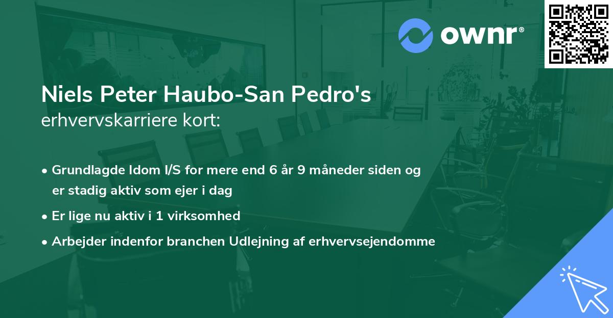 Niels Peter Haubo-San Pedro's erhvervskarriere kort