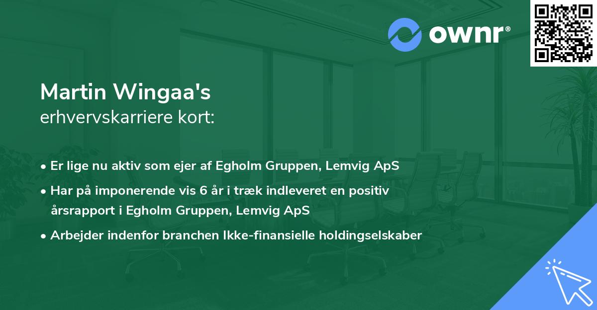 Martin Wingaa's erhvervskarriere kort