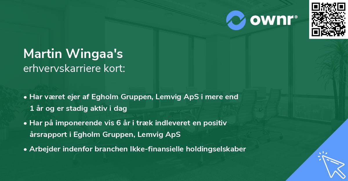Martin Wingaa's erhvervskarriere kort