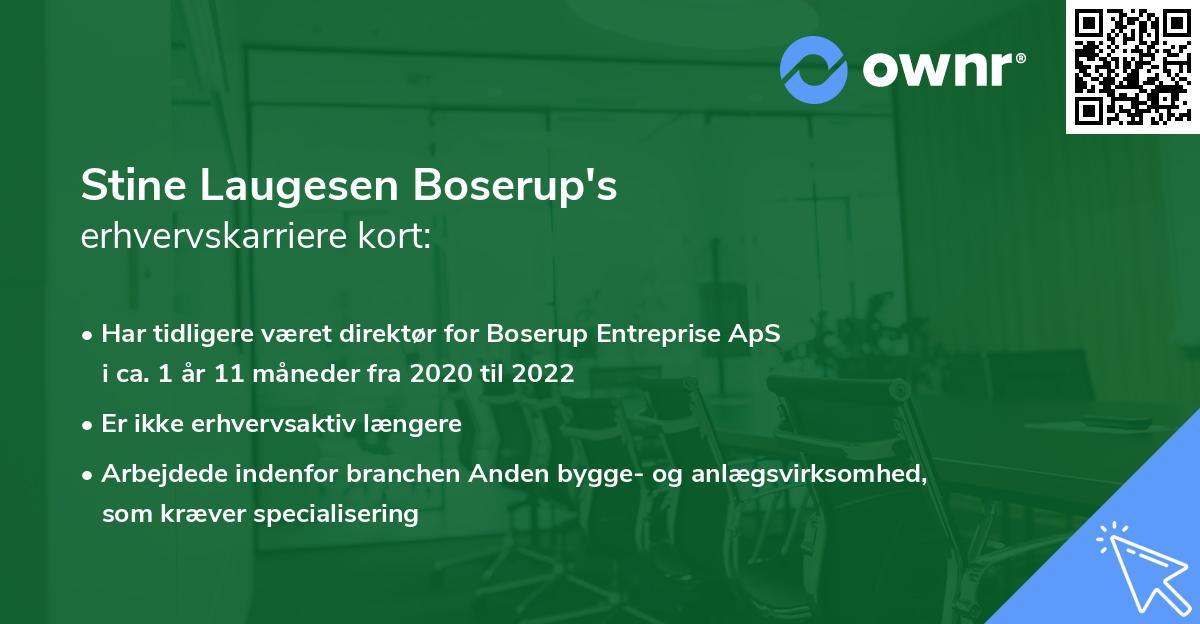 Stine Laugesen Boserup's erhvervskarriere kort