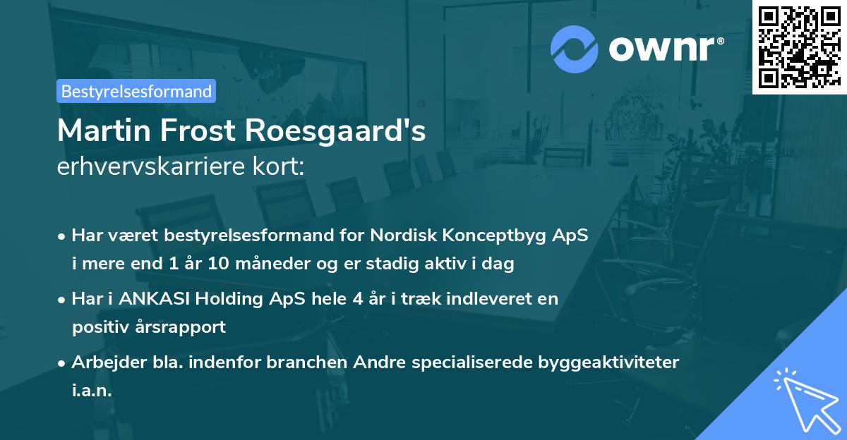 Martin Frost Roesgaard's erhvervskarriere kort