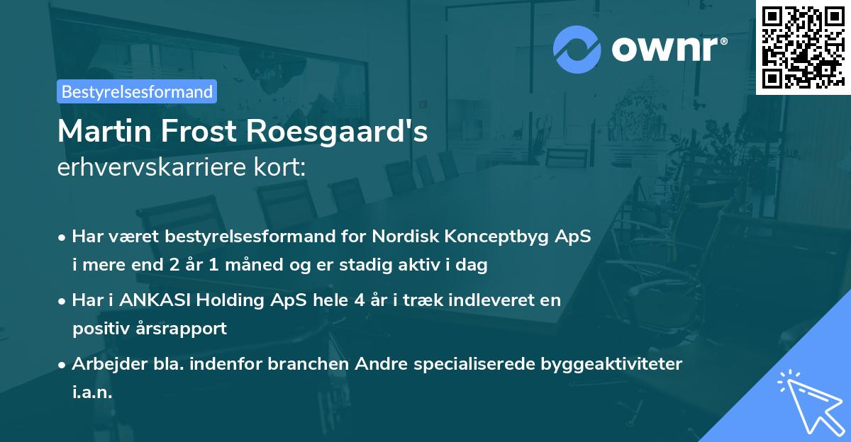 Martin Frost Roesgaard's erhvervskarriere kort