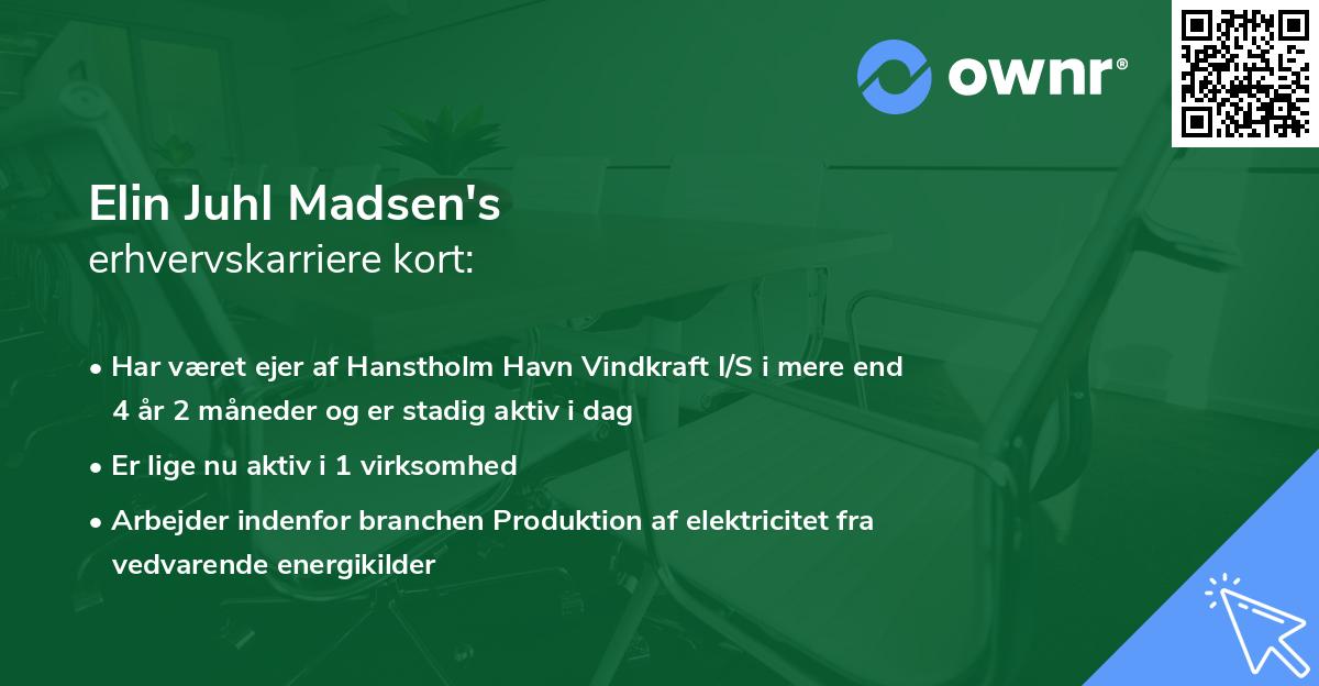 Elin Juhl Madsen's erhvervskarriere kort