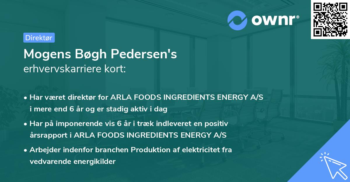 Mogens Bøgh Pedersen's erhvervskarriere kort