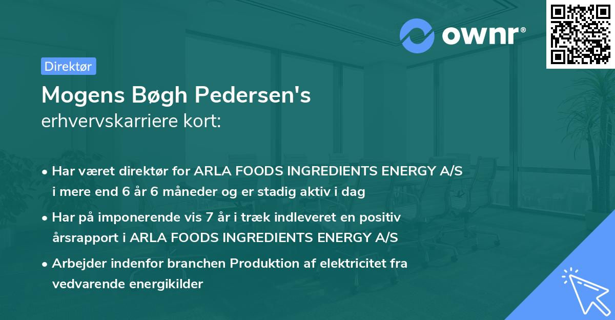 Mogens Bøgh Pedersen's erhvervskarriere kort