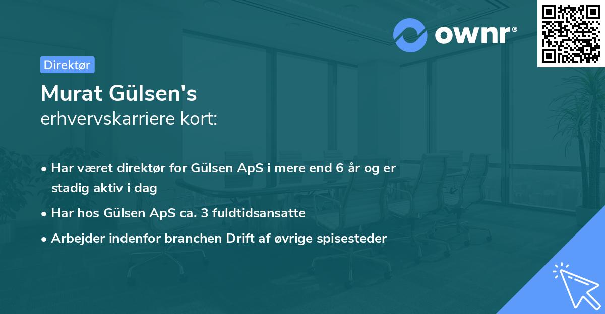 Murat Gülsen's erhvervskarriere kort