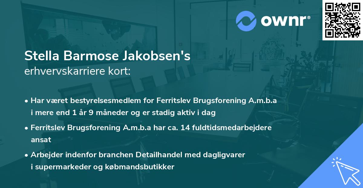 Stella Barmose Jakobsen's erhvervskarriere kort