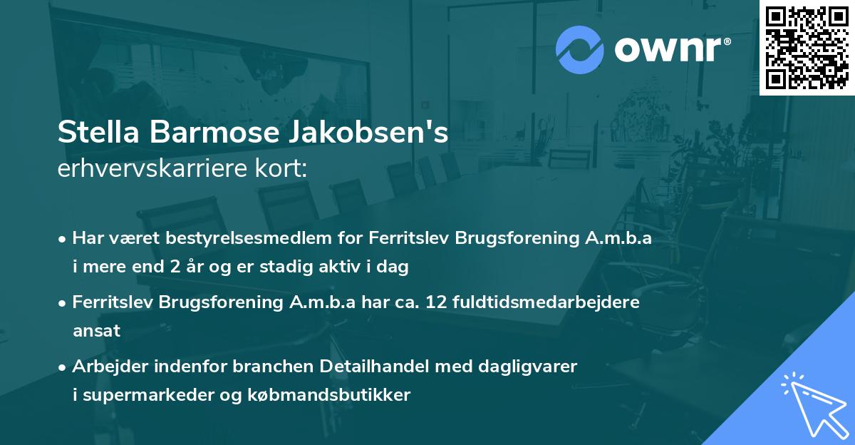 Stella Barmose Jakobsen's erhvervskarriere kort