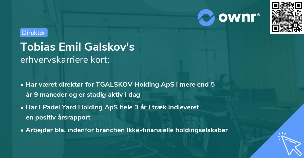Tobias Emil Galskov's erhvervskarriere kort