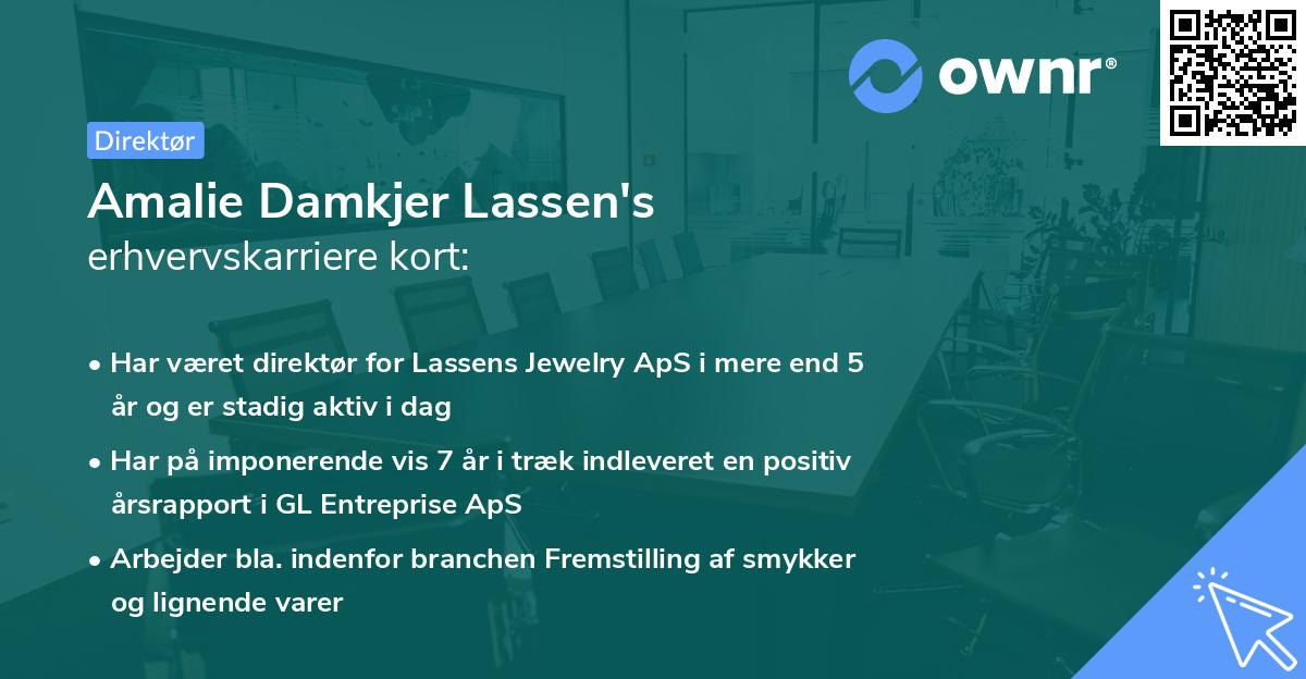 Amalie Damkjer Lassen's erhvervskarriere kort
