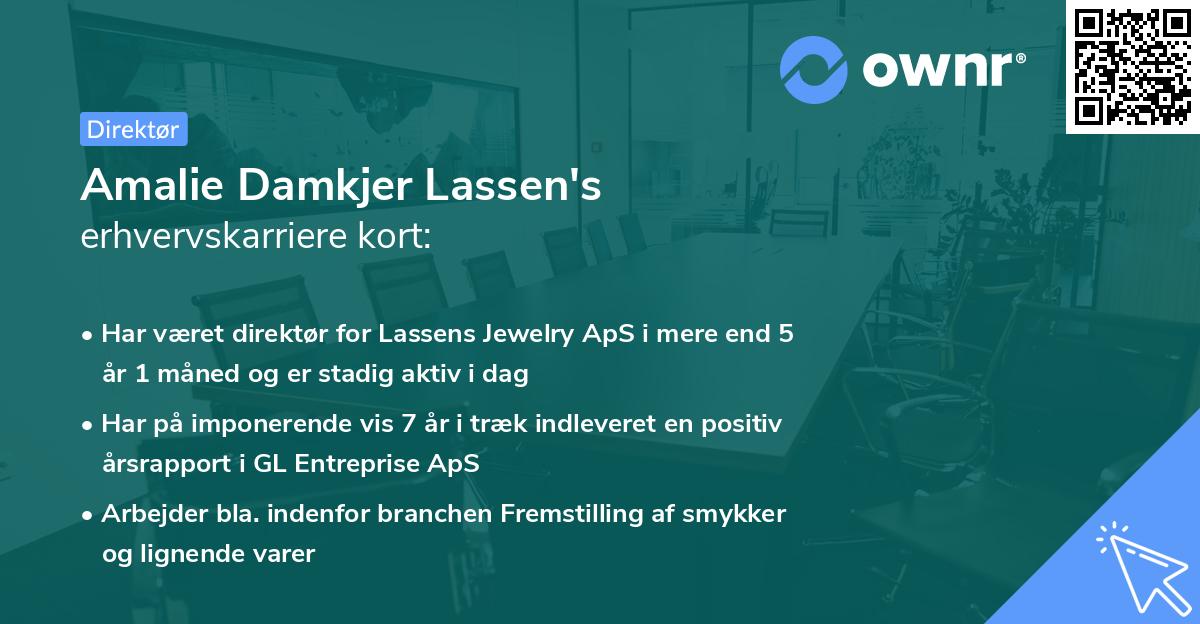 Amalie Damkjer Lassen's erhvervskarriere kort