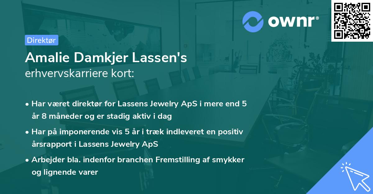 Amalie Damkjer Lassen's erhvervskarriere kort