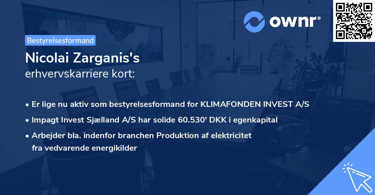 Nicolai Zarganis's erhvervskarriere kort